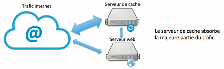 Le serveur de cache